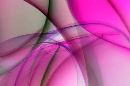 Company Profile & Portfolio Management